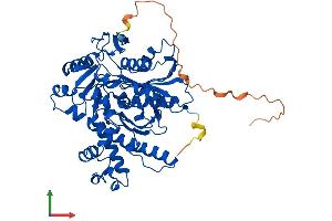 Protein Structure (PS) image for 3-Hydroxy-3-Methylglutaryl-CoA Synthase 1 (Soluble) (HMGCS1) (AA 1-520) protein (His tag) (ABIN7559393)