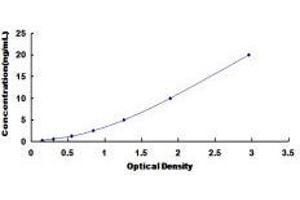 High Mobility Group AT-Hook 1 (HMGA1) ELISA Kit