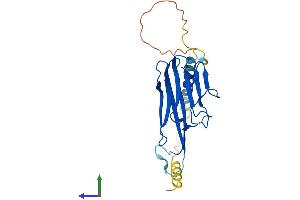 Protein Structure (PS) image for Tumor Necrosis Factor alpha (TNF alpha) (AA 1-235) protein (His tag) (ABIN7562751)
