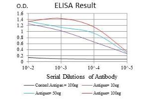 Black line: Control Antigen (100 ng), Purple line: Antigen(10 ng), Blue line: Antigen (50 ng), Red line: Antigen (100 ng), (RPS6KB1 抗体)