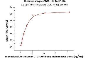 ELISA image for Connective Tissue Growth Factor (CTGF) (AA 27-349) (Active) protein (His tag) (ABIN7013453)