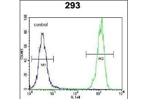Flow Cytometry (FACS) image for anti-Olfactory Receptor, Family 10, Subfamily H, Member 1 (OR10H1) (AA 245-273), (C-Term) antibody (ABIN654815)