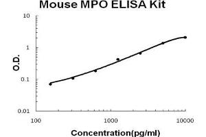 Mouse MPO PicoKine ELISA Kit standard curve