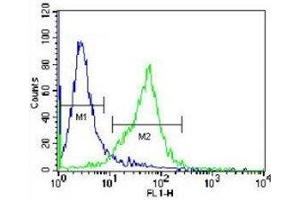 Flow Cytometry (FACS) image for anti-Glutamate-Cysteine Ligase, Catalytic Subunit (GCLC) (AA 1-30) antibody (ABIN3031076)