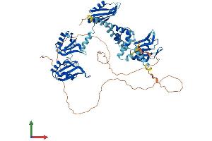 Protein Structure (PS) image for Poly(A) Binding Protein, Cytoplasmic 1 (PABPC1) (AA 1-636) protein (His tag) (ABIN7563071)