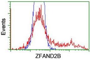 Flow Cytometry (FACS) image for anti-Zinc Finger, AN1-Type Domain 2B (ZFAND2B) antibody (ABIN1501807)
