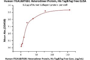 Immobilized Human Collagen I protein at 2 μg/mL (100 μL/well) can bind Human ITGA1&ITGB1 Heterodimer Protein, His Tag&Tag Free (ABIN6933638,ABIN6938826) with a linear range of 1-20 ng/mL (QC tested).