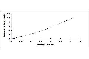 Typical standard curve (HSP27 ELISA 试剂盒)