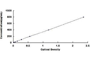 Typical standard curve (LYZ ELISA 试剂盒)