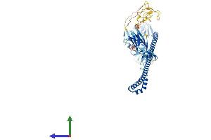 Protein Structure (PS) image for Tripartite Motif Containing 45 (TRIM45) (AA 1-580) protein (His tag) (ABIN7558070)