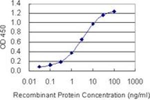 Detection limit for recombinant GST tagged PLA2G10 is 0. (PLA2G10 抗体  (AA 64-165))