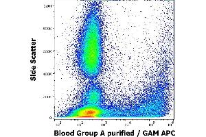 Flow cytometry surface staining pattern of human peripheral whole blood stained using anti-human Blood Group A (HE-195) purified antibody (concentration in sample 3,3 μg/mL, GAM APC). (ABO, Blood Group A Antigen 抗体)