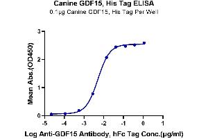 ELISA image for Growth Differentiation Factor 15 (GDF15) (AA 197-307) protein (His tag) (ABIN7274721)