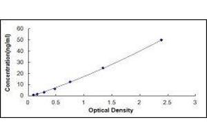 ELISA image for Peroxisome Proliferator-Activated Receptor gamma (PPARG) ELISA Kit (ABIN414461)