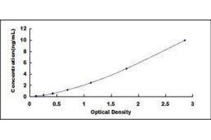ELISA image for Lactoperoxidase (LPO) ELISA Kit (ABIN414042)