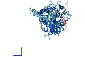Protein Structure (PS) image for Chloride Channel 4 (CLCN4) (AA 1-747) protein (His tag) (ABIN7557702)