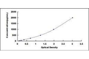 Pleiotrophin (PTN) ELISA Kit