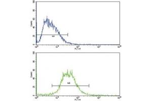 Flow Cytometry (FACS) image for anti-Interleukin 17 Receptor B (IL17RB) (AA 207-234) antibody (ABIN3028753)