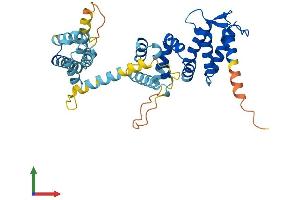 AlphaFold protein structure predicition of Human Recombinant FANCF Protein, UniprotID Q9NPI8