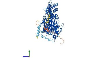 AlphaFold protein structure predicition of Human Recombinant GRK6 Protein, UniprotID P43250