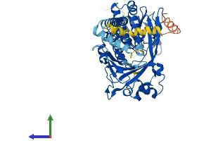 Protein Structure (PS) image for Kynurenine 3-Monooxygenase (Kynurenine 3-Hydroxylase) (KMO) (AA 1-486) protein (His tag) (ABIN7554368)