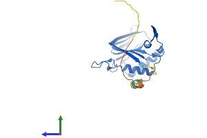 Protein Structure (PS) image for D-Tyrosyl-tRNA Deacylase 1 Homolog (S. Cerevisiae) (DTD1) (AA 1-209) protein (His tag) (ABIN7561369)