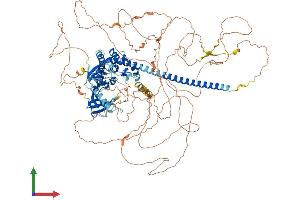 Protein Structure (PS) image for Mitogen-Activated Protein Kinase Kinase Kinase 9 (MAP3K9) (AA 1-1104) protein (His tag) (ABIN7554484)