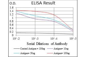 ELISA image for anti-Zinc Finger Protein 42 (ZFP42) (AA 249-310) antibody (ABIN1846770)