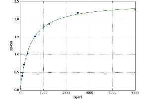A typical standard curve (RHOA ELISA 试剂盒)