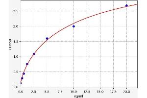 Typical standard curve (Elastase 3B ELISA 试剂盒)