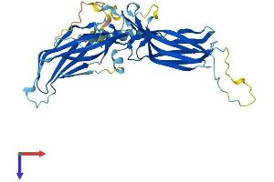 AlphaFold protein structure predicition of Human Recombinant RGP1 Protein, UniprotID Q92546