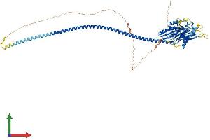 Protein Structure (PS) image for Kinesin Family Member C1 (KIFC1) (AA 1-673) protein (His tag) (ABIN7548740)