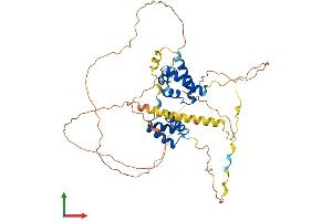 Protein Structure (PS) image for POU Class 3 Homeobox 1 (POU3F1) (AA 1-449) protein (His tag) (ABIN7562963)