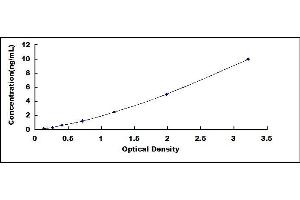 Typical standard curve (Midkine ELISA 试剂盒)