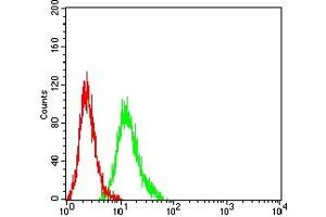 Flow cytometric analysis of HL-60 cells using CD364 mouse mAb (green) and negative control (red). (PI16 抗体  (AA 79-210))