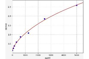 MAP1LC3A ELISA 试剂盒