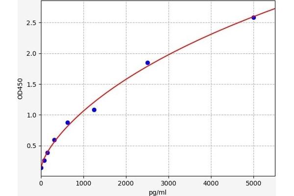 MAP1LC3A ELISA 试剂盒