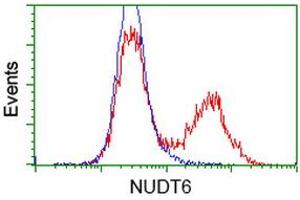 HEK293T cells transfected with either RC203470 overexpress plasmid (Red) or empty vector control plasmid (Blue) were immunostained by anti-NUDT6 antibody (ABIN2454184), and then analyzed by flow cytometry. (NUDT6 抗体)