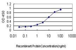 Detection limit for recombinant GST tagged ETV6 is approximately 0. (ETV6 抗体  (AA 1-452))