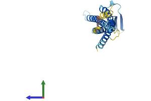 Protein Structure (PS) image for Claudin 22 (CLDN22) (AA 1-220) protein (His tag) (ABIN7561097)