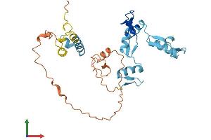 Protein Structure (PS) image for Zinc Finger Protein 705D (ZNF705D) (AA 1-300) protein (His tag) (ABIN7545519)