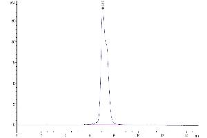 The purity of Human CD200 R1 is greater than 95 % as determined by SEC-HPLC.
