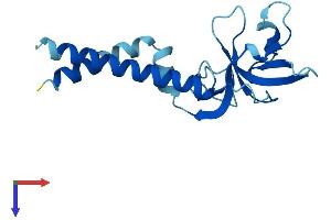 AlphaFold protein structure predicition of Human Recombinant SEC11B Protein, UniprotID P0C7V7 (SEC11B Protein (AA 1-166) (His tag))