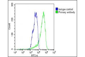 Overlay histogram showing HepG2 cells stained with (ABIN391880 and ABIN2841699)(green line). (CSF1R 抗体  (C-Term))