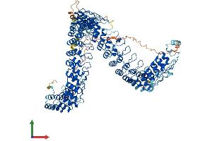 AlphaFold protein structure predicition of Mouse Recombinant Ankrd52 Protein, UniprotID Q8BTI7