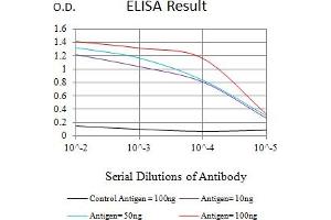Black line: Control Antigen (100 ng),Purple line: Antigen (10 ng), Blue line: Antigen (50 ng), Red line:Antigen (100 ng) (SETD7 抗体  (AA 107-366))