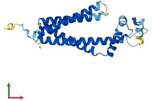 Protein Structure (PS) image for Tetraspanin 31 (TSPAN31) (AA 1-210) protein (His tag) (ABIN7544899)