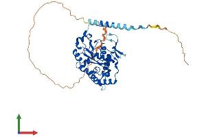 Protein Structure (PS) image for Heparan Sulfate (Glucosamine) 3-O-Sulfotransferase 3B1 (HS3ST3B1) (AA 1-390) protein (His tag) (ABIN7561841)