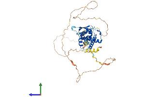 Protein Structure (PS) image for Transcription Factor AP-2 beta (Activating Enhancer Binding Protein 2 Beta) (TFAP2B) (AA 1-459) protein (His tag) (ABIN7557690)