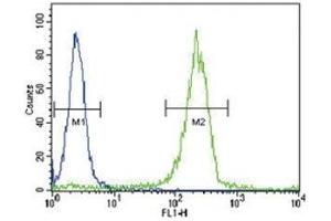 SOCS1 antibody flow cytometric analysis of WiDr cells (green)